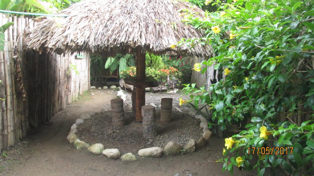Hostel Cattleya Palomino Exterior foto